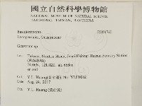 地星屬藏品圖，第2張