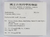 登錄號:F0031763藏品圖，第2張