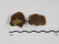 登錄號:F0031765藏品圖，第1張
