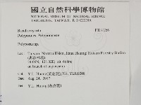 多孔菌屬藏品圖，第2張