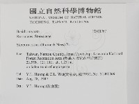蠔韌革菌藏品圖，第2張