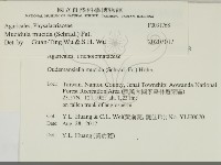 登錄號:F0031768藏品圖，第2張