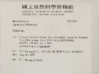 登錄號:F0031769藏品圖，第2張