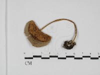 登錄號:F0031770藏品圖，第1張