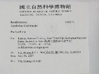 登錄號:F0031771藏品圖，第2張