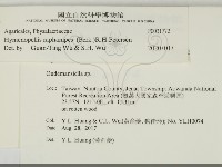 登錄號:F0031772藏品圖，第2張
