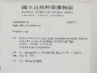 登錄號:F0031773藏品圖，第2張