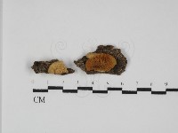 登錄號:F0031773藏品圖，第1張