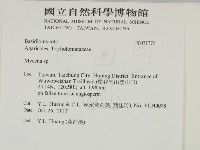 小菇屬藏品圖，第2張