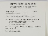 登錄號:F0031777藏品圖，第2張
