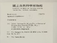 登錄號:F0031778藏品圖，第2張
