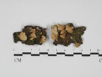 登錄號:F0031778藏品圖，第1張