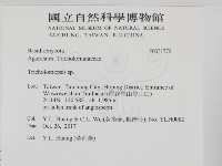 登錄號:F0031779藏品圖，第2張