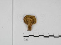 登錄號:F0031782藏品圖，第3張