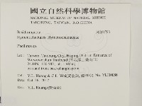 木層孔菌屬藏品圖，第2張
