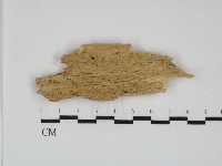 登錄號:F0031784藏品圖，第1張