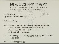 登錄號:F0031787藏品圖，第2張