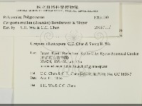 登錄號:F0031790藏品圖，第2張