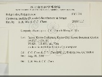 登錄號:F0031791藏品圖，第2張