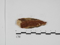 登錄號:F0031793藏品圖，第1張