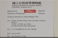 登錄號:F0031793藏品圖，第3張