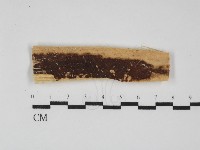館號:F0031794藏品圖，第1張