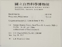 館號:F0031794藏品圖，第2張