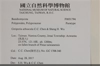 館號:F0031794藏品圖，第3張