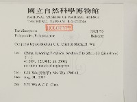 登錄號:F0031795藏品圖，第2張