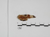 登錄號:F0031796藏品圖，第1張