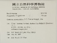 登錄號:F0031796藏品圖，第2張