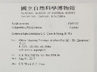 登錄號:F0031797藏品圖，第2張