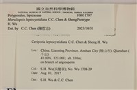 登錄號:F0031797藏品圖，第3張