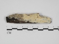 登錄號:F0031798藏品圖，第1張
