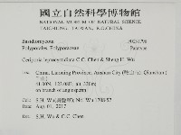 登錄號:F0031798藏品圖，第2張