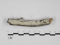 登錄號:F0031798藏品圖，第3張