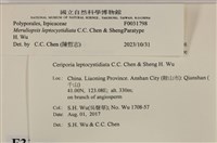 登錄號:F0031798藏品圖，第4張
