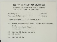 登錄號:F0031799藏品圖，第2張