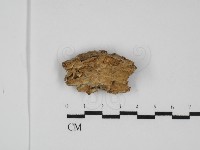 登錄號:F0031799藏品圖，第1張