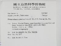 登錄號:F0031802藏品圖，第2張