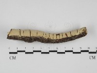 登錄號:F0031802藏品圖，第1張