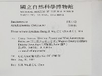 登錄號:F0031803藏品圖，第2張