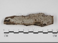 登錄號:F0031804藏品圖，第1張