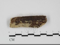 登錄號:F0031805藏品圖，第1張
