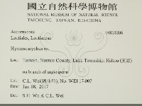 登錄號:F0031806藏品圖，第2張