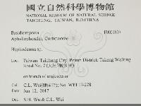 絲皮菌屬藏品圖，第2張