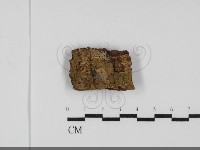 登錄號:F0031810藏品圖，第1張