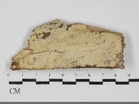登錄號:F0031812藏品圖，第1張