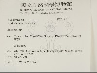 登錄號:F0031813藏品圖，第2張