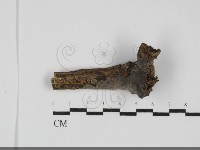 登錄號:F0031813藏品圖，第1張